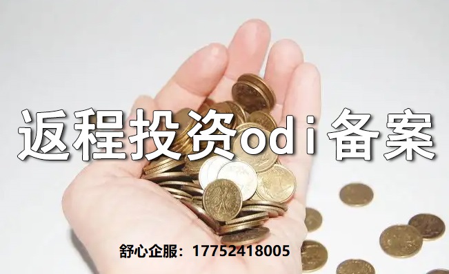 揭开ODI与返程投资的面纱：探寻全球投资的不同路径